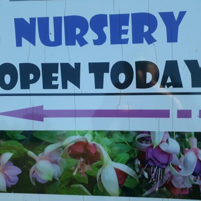 Fuchsia Creswick Nursery Ballarat Daylesford Melbourne Victoria Australia