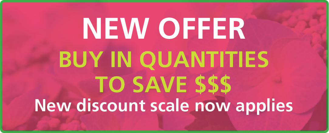 Quantity Discounts